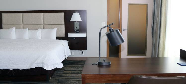 斯蒂芬维尔欢朋套房酒店(Hampton Inn & Suites Stephenville)图片