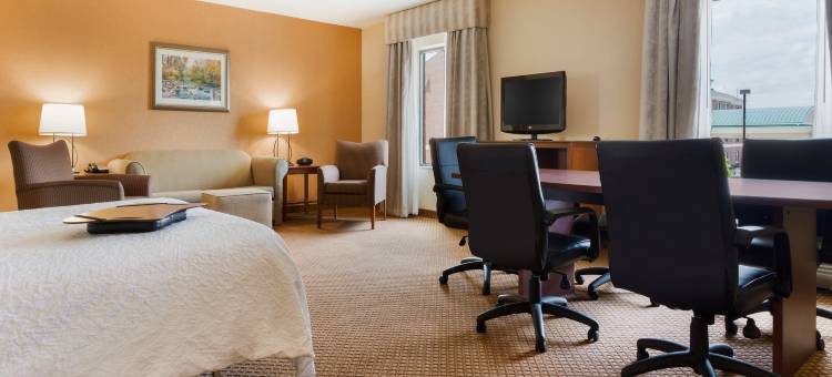 底特律-切斯特菲尔德乡村希尔顿欢朋酒店及套房(Hampton Inn & Suites Detroit/Chesterfield Township)图片