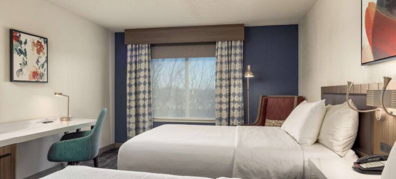 芝加哥奥克布鲁克阳台希尔顿花园酒店(Hilton Garden Inn Chicago/Oakbrook Terrace)图片