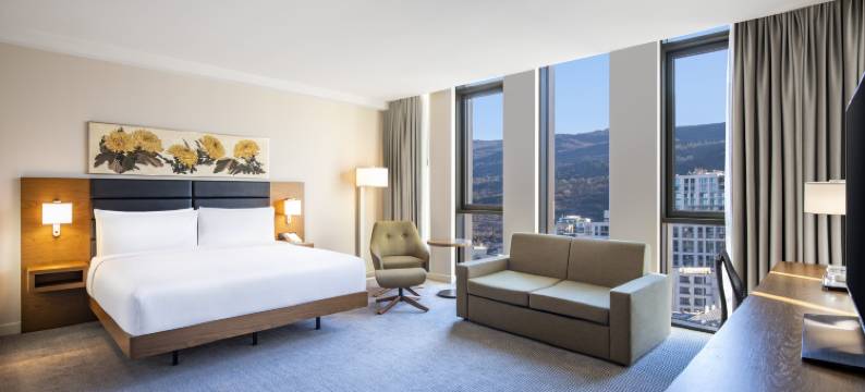 第比利斯希尔顿花园酒店(Hilton Garden Inn Tbilisi Chavchavadze)图片