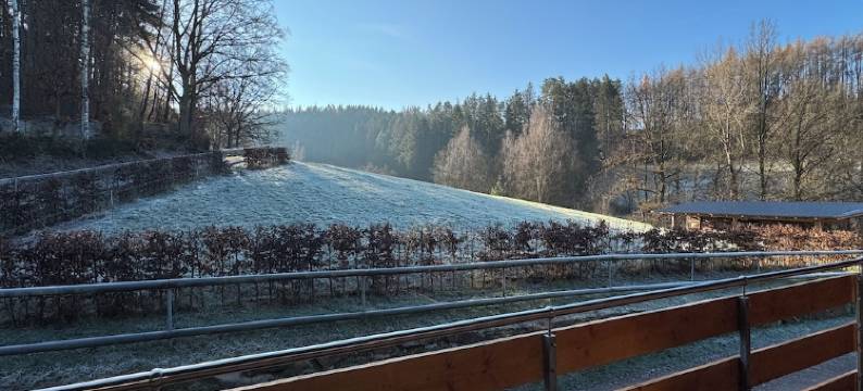 Recreation in the forest - with swimming pool!图片