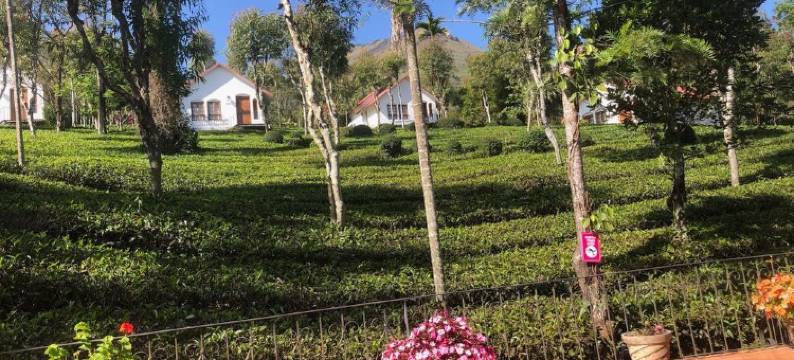 茶台韦提瑞度假村(Tea Terrace Vythiri Resort)图片