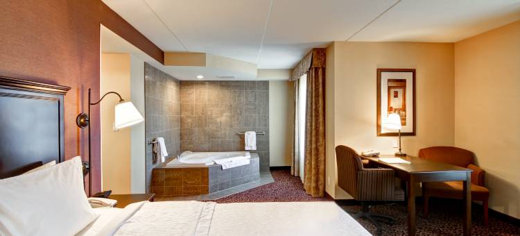 欢朋酒店萨德伯里，安大略(Hampton Inn by Hilton Sudbury, Ontario)图片