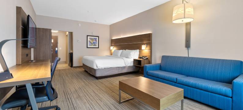 梅肯北洲际智选假日套房酒店(Holiday Inn Express & Suites MACON NORTH by IHG)图片