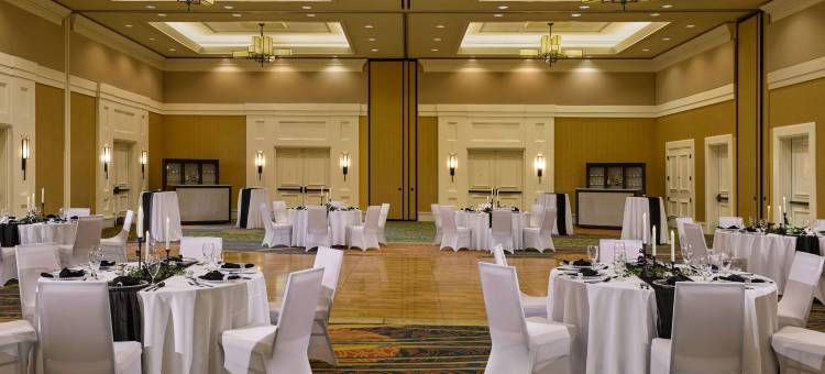 麦德威尔会议度假村及会议中心(MeadowView Conference Resort & Convention Center)图片