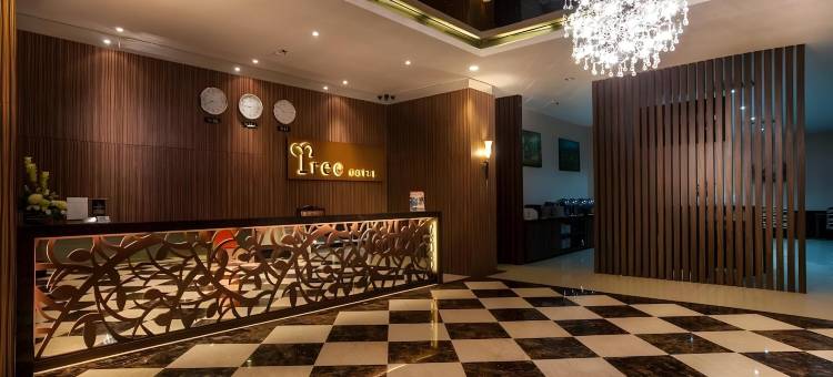 树酒店(Tree Hotel)图片