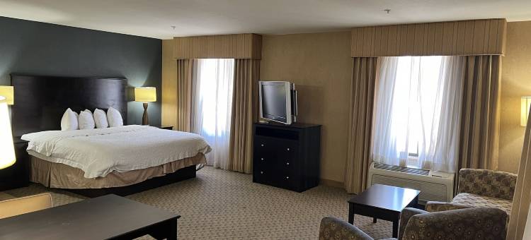 巴斯托欢朋套房酒店(Hampton Inn & Suites Barstow)图片