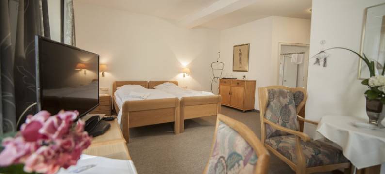 阿克岑古特霍因酒店(Akzent Hotel Gut Höing)图片