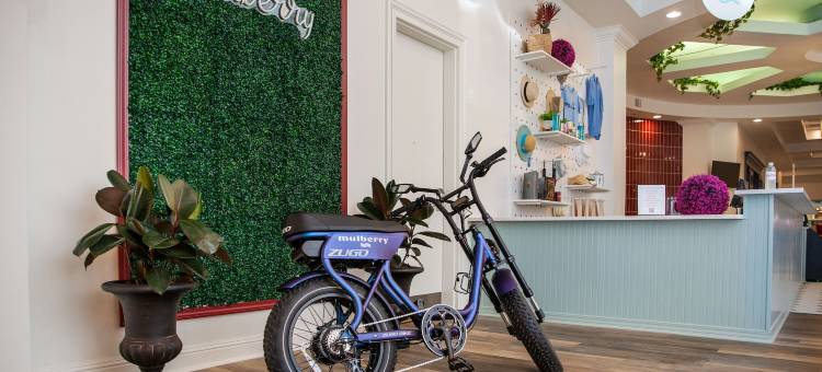 桑椹温德姆酒店(Mulberry, a Wyndham Hotel)图片