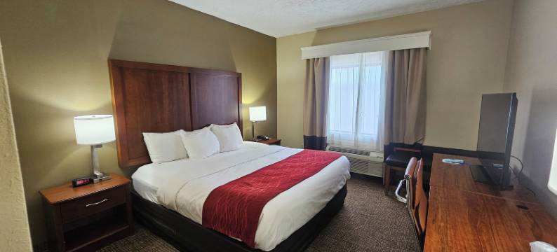 杰克逊I-40舒适酒店(Comfort Inn Jackson I-40)图片