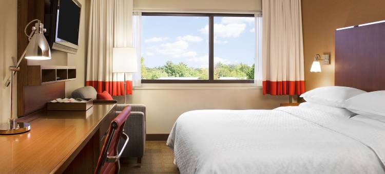 休斯顿能源大道福朋喜来登酒店(Four Points By Sheraton Houston Energy Corridor)图片