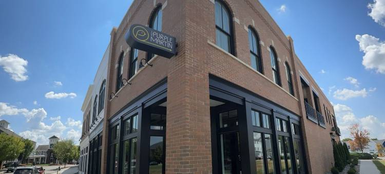 紫马丁(The Purple Martin - the Perch)图片