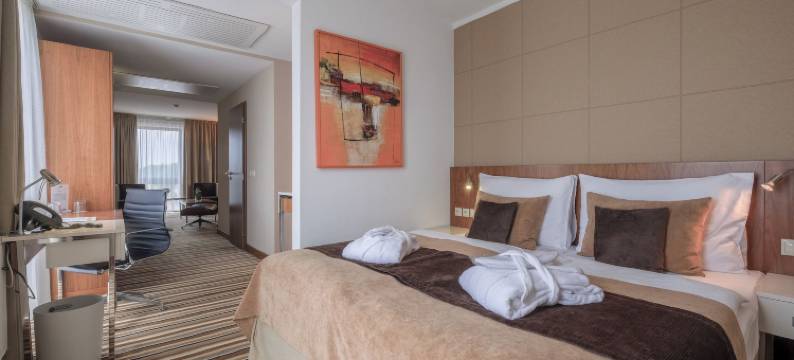 亚斯顿劳斯商务式酒店(Business Hotel Astrum Laus)图片