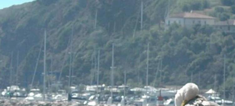 伊斯佩丽雅酒店(Hotel Esperia)图片