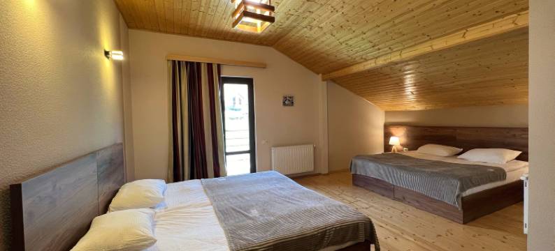 阿克塞恩酒店(Hotel Axien Kazbegi)图片