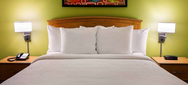 斯科特斯德凤凰城索内斯塔简单套房酒店(Sonesta Simply Suites Phoenix Scottsdale)图片