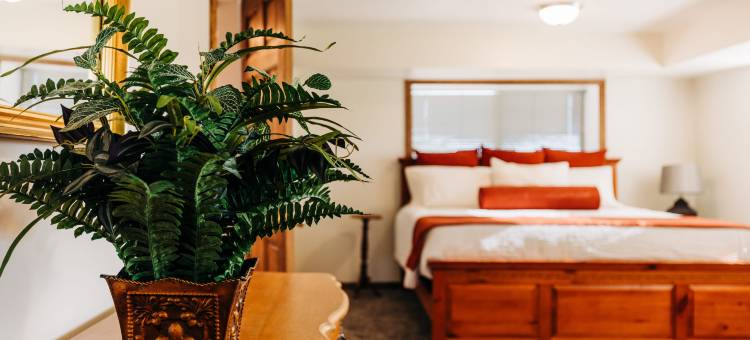 Panoramic Views and Cozy Living Space - Stunning Mountain Haven图片