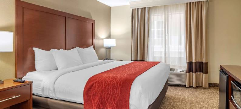 梅肯北I-75舒适套房酒店(Comfort Inn & Suites Macon North I-75)图片