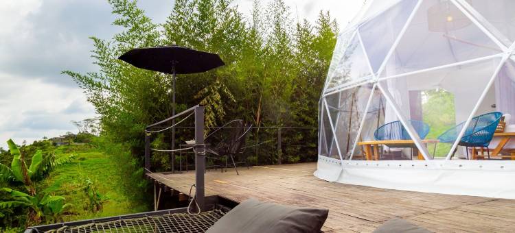 蒙特地拉生态酒店(Eco Hotel Monte Tierra)图片