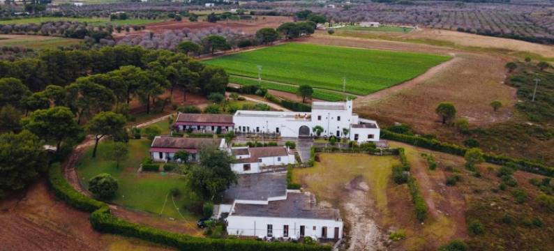 法布里奇奥马塞里亚旅馆(Masseria Fabrizio)图片