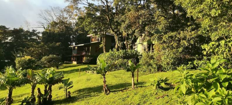 布罗梅利亚之花酒店(Hotel Flor de Bromelia)图片