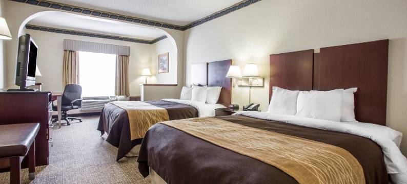 杰克逊堡梅因盖特舒适套房酒店(Comfort Inn & Suites FtJackson Maingate)图片