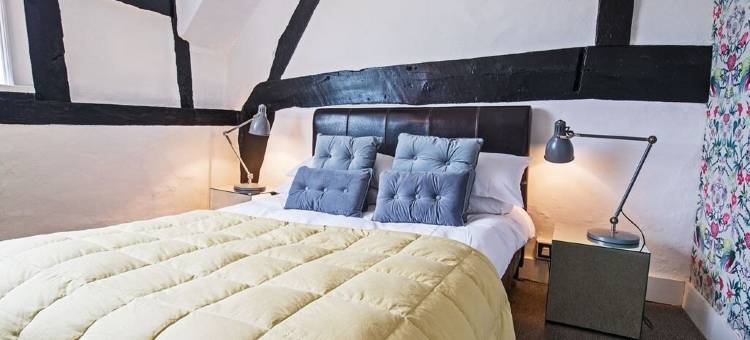 乔治与龙酒店(The George & Dragon)图片