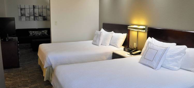 休斯顿卡蒂米尔斯万豪SpringHill酒店(SpringHill Suites Houston Katy Mills)图片