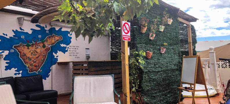 竞技场巢穴旅馆(Arena Nest Hostel)图片