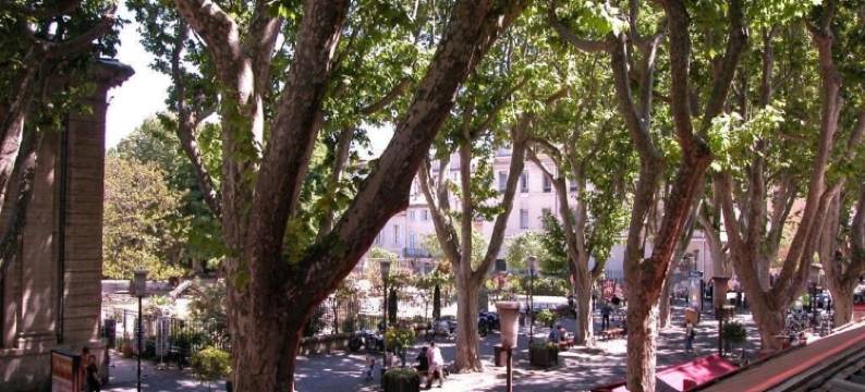 艾丽泽阿酒店(Hotel Alizéa)图片