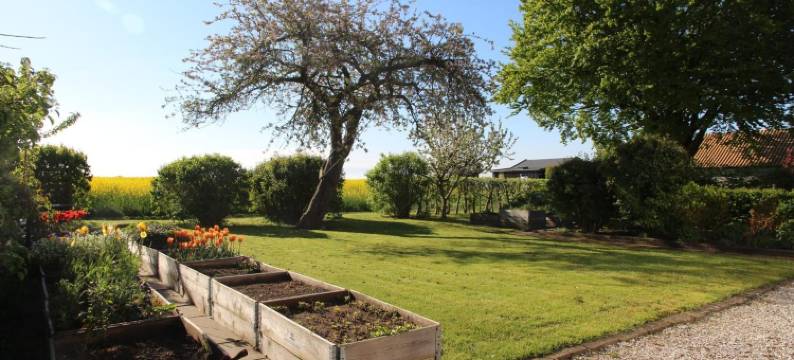 斯泰温斯克林特旅馆(Stevns Klint Strandpension)图片