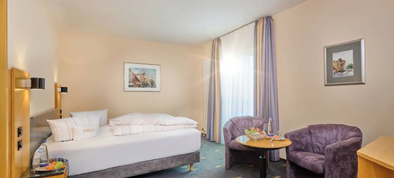 塞热西恩托尔酒店(Hotel Theresientor)图片