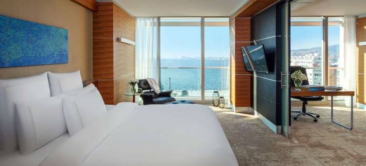 土耳其伊兹密尔比于克艾菲斯瑞士酒店(Swissotel Buyuk Efes Izmir)图片