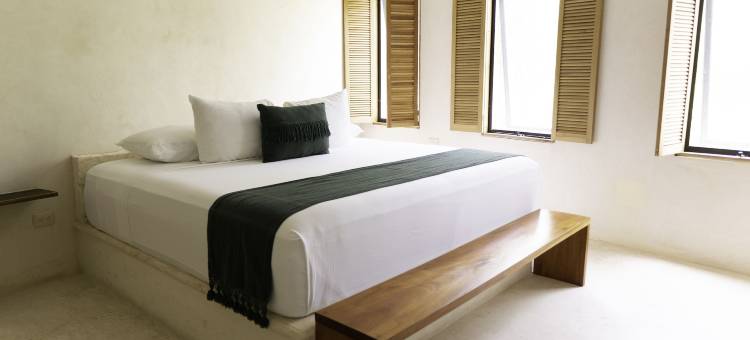 科斯酒店精品图兰(Koos Tulum Hotel)图片