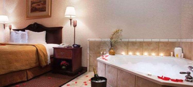 近大学凯艺酒店(Quality Inn & Suites Near University)图片