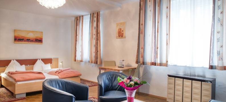 格西勒博士高级旅馆(Pension Dr. Geissler)图片