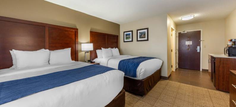 丹佛斯- 波士顿北岸舒适酒店(Comfort Inn Danvers - Boston North Shore)图片