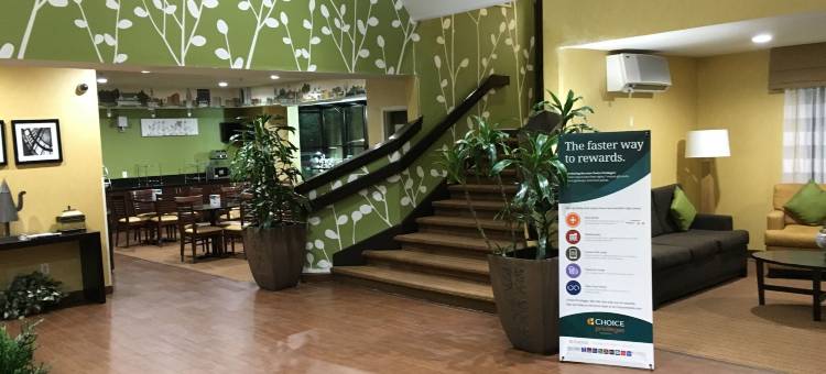 哈尼斯购物中心舒眠酒店(Sleep Inn Hanes Mall)图片