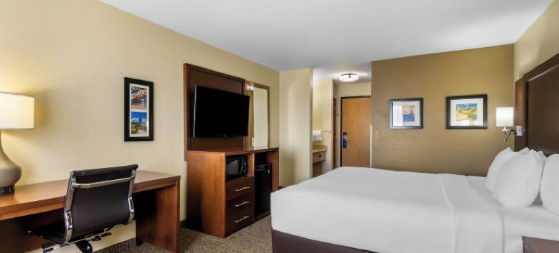 格里利舒适套房酒店(Comfort Inn & Suites Greeley)图片