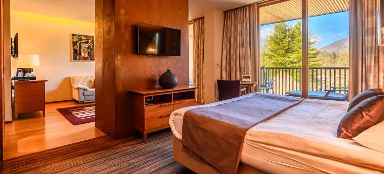 巴尔尼亚精品 - 克尔卡温泉酒店(Hotel Balnea Superior - Terme Krka)图片