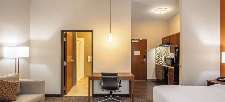 麦迪逊 - 莫诺纳美茵斯坦套房酒店(MainStay Suites Madison - Monona)图片