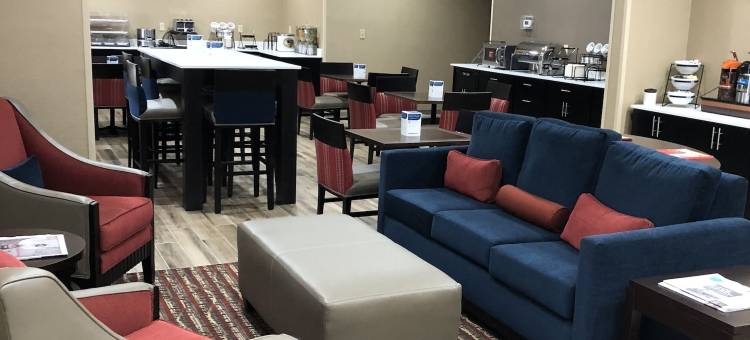 威奇托福尔斯舒适酒店-近大学(Comfort Inn Wichita Falls Near University)图片