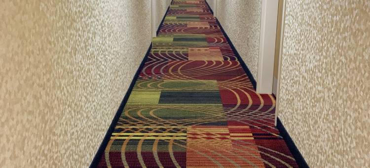 Microtel Inn & Suites by Wyndham Charleston WV图片