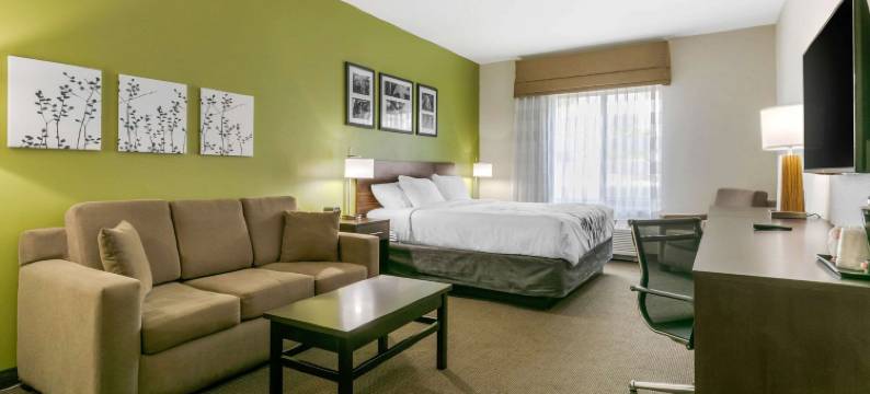 舒眠套房酒店(Sleep Inn & Suites Columbia I-65)图片