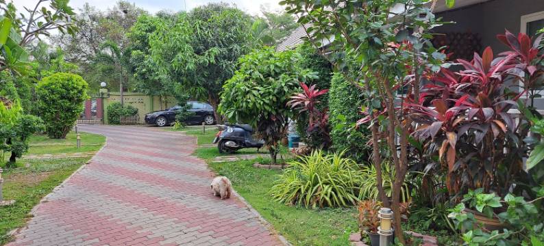 大城府佩尼房子旅馆(Baan Penny)图片