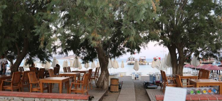 梅格斯博德卢姆海滩酒店(Meggs Bodrum Beach Hotel)图片