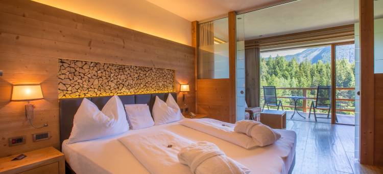 多洛米蒂阿尔比恩山温泉度假酒店(Hotel Albion Mountain Spa Resort Dolomites)图片