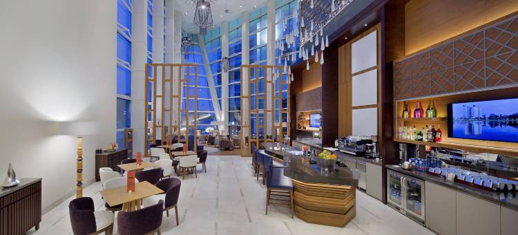 巴统希尔顿酒店(Hilton Batumi)图片