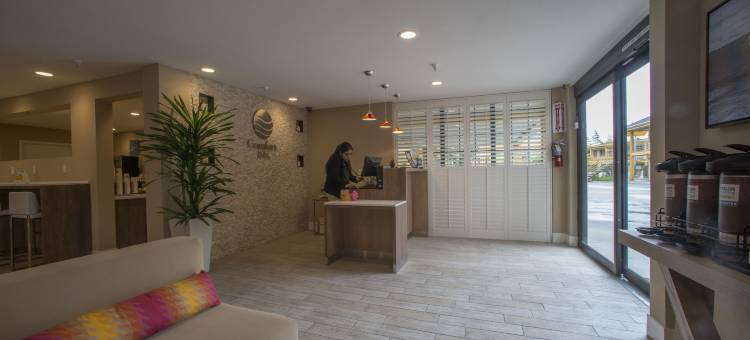 舒适酒店(Comfort Inn)图片