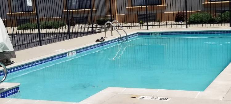 布卢明顿大学区凯艺套房酒店(Quality Inn & Suites Bloomington University Area)图片